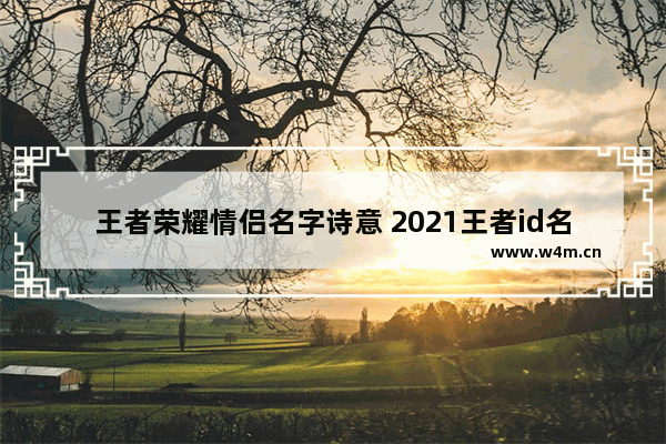 王者荣耀情侣名字诗意 2021王者id名字诗意四个字