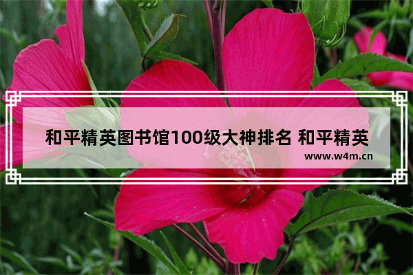 和平精英图书馆100级大神排名 和平精英二大神