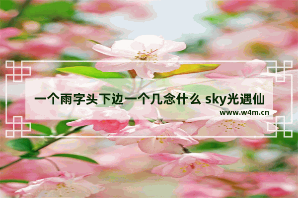 一个雨字头下边一个几念什么 sky光遇仙人