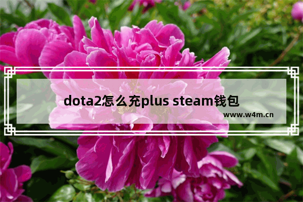 dota2怎么充plus steam钱包 dota2