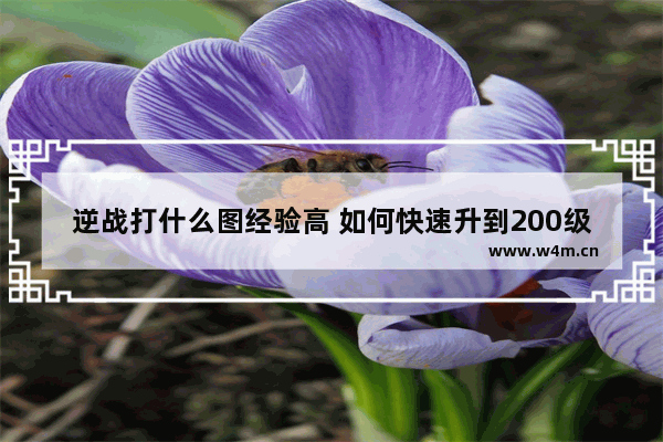 逆战打什么图经验高 如何快速升到200级 我打塔防一把11万经验。经验加成2150% 逆战最高经验