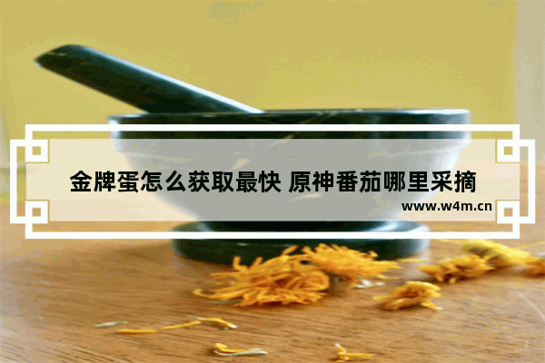 金牌蛋怎么获取最快 原神番茄哪里采摘