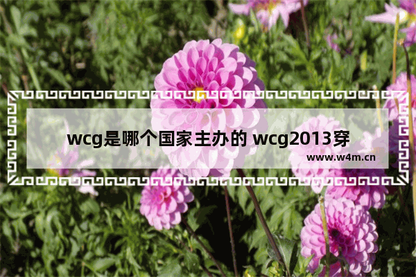 wcg是哪个国家主办的 wcg2013穿越火线决赛