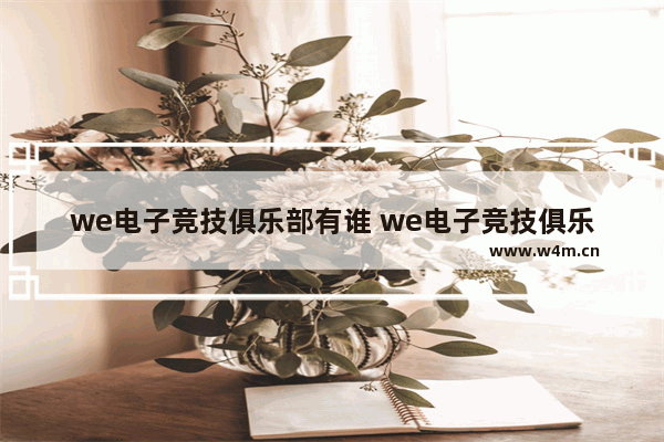 we电子竞技俱乐部有谁 we电子竞技俱乐部创始人