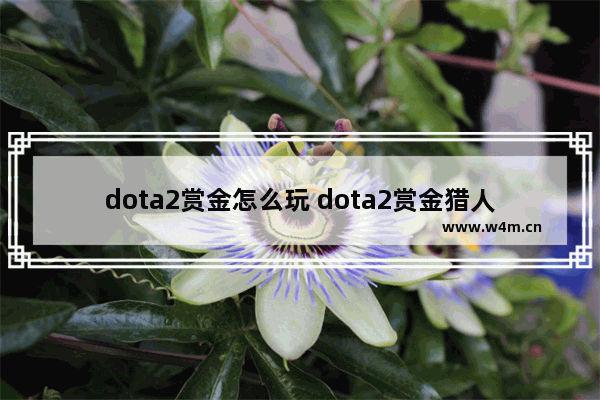 dota2赏金怎么玩 dota2赏金猎人如何针对