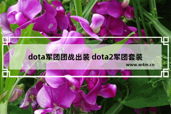 dota军团团战出装 dota2军团套装