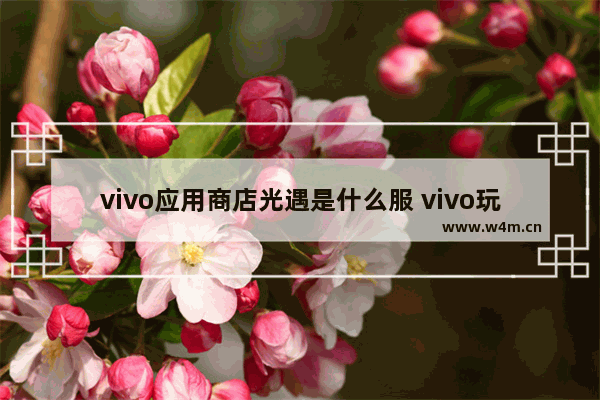 vivo应用商店光遇是什么服 vivo玩光遇是哪个区的服