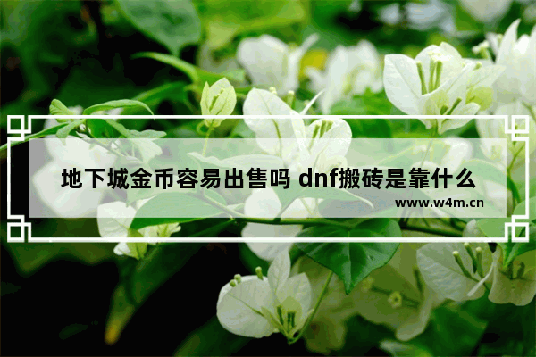 地下城金币容易出售吗 dnf搬砖是靠什么赚钱