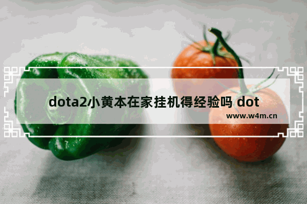 dota2小黄本在家挂机得经验吗 dota2刷观战