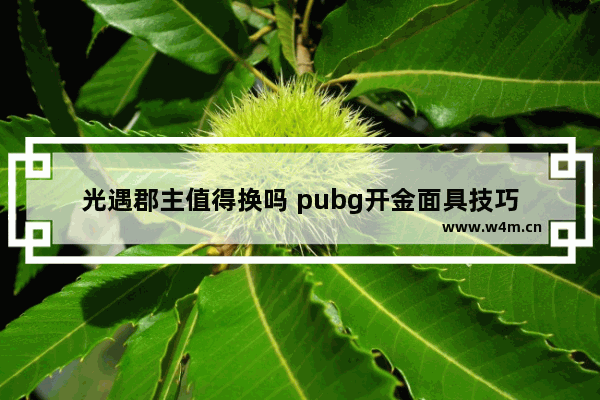 光遇郡主值得换吗 pubg开金面具技巧