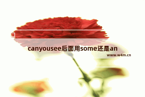 canyousee后面用some还是any sky光遇瓶子