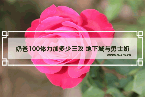 奶爸100体力加多少三攻 地下城与勇士奶爸多少体力