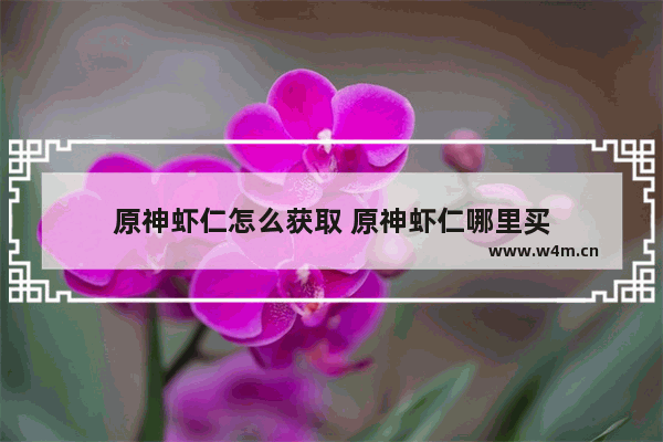 原神虾仁怎么获取 原神虾仁哪里买