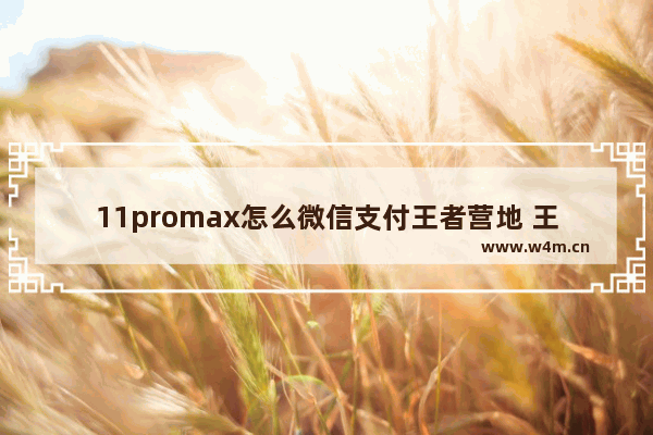 11promax怎么微信支付王者营地 王者荣耀微信充值中心