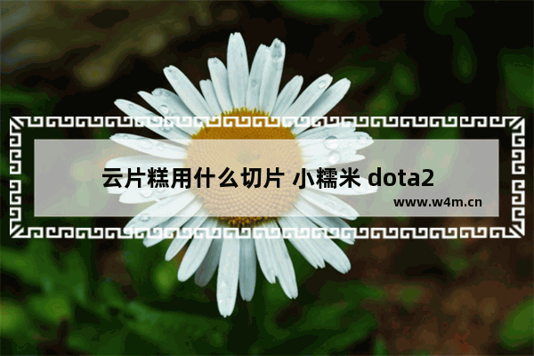 云片糕用什么切片 小糯米 dota2