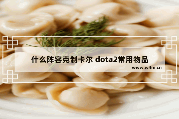 什么阵容克制卡尔 dota2常用物品