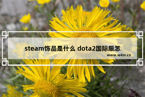 steam饰品是什么 dota2国际服怎么买饰品