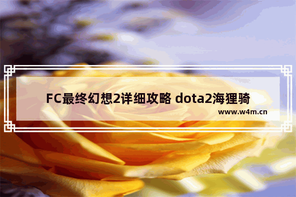 FC最终幻想2详细攻略 dota2海狸骑士