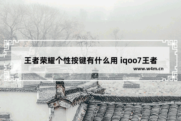 王者荣耀个性按键有什么用 iqoo7王者荣耀定制主题是什么