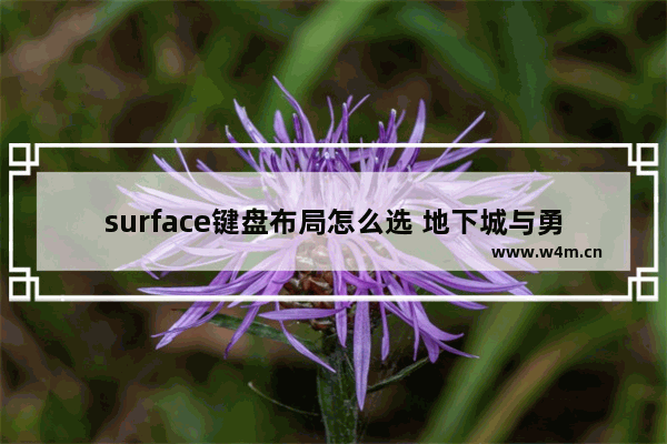 surface键盘布局怎么选 地下城与勇士键盘设计师