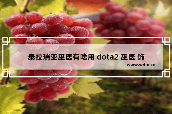 泰拉瑞亚巫医有啥用 dota2 巫医 饰品