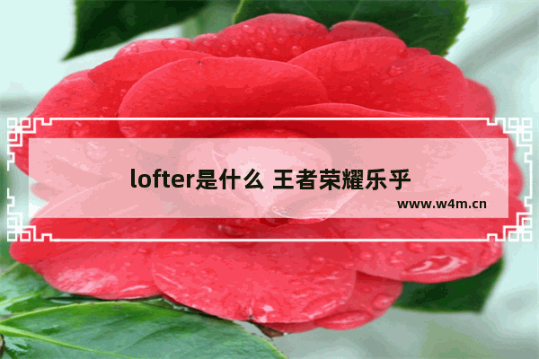 lofter是什么 王者荣耀乐乎