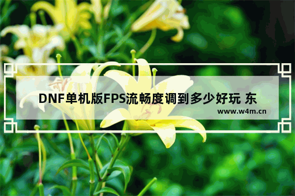 DNF单机版FPS流畅度调到多少好玩 东芝S30笔记本电脑俗称R300、它能玩什么网游呢 地下城与勇士、CF、飞车等这些能玩吗 单机类的游戏呢