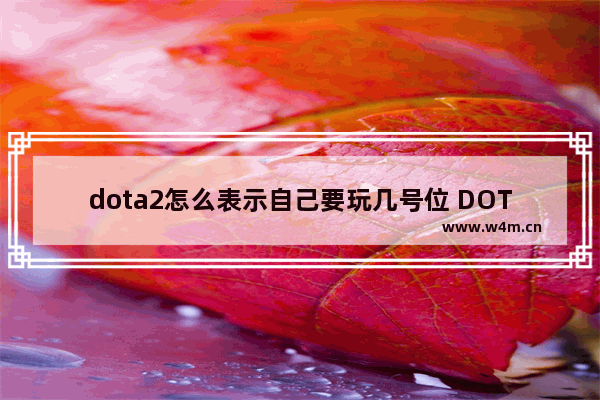 dota2怎么表示自己要玩几号位 DOTA2账号定位