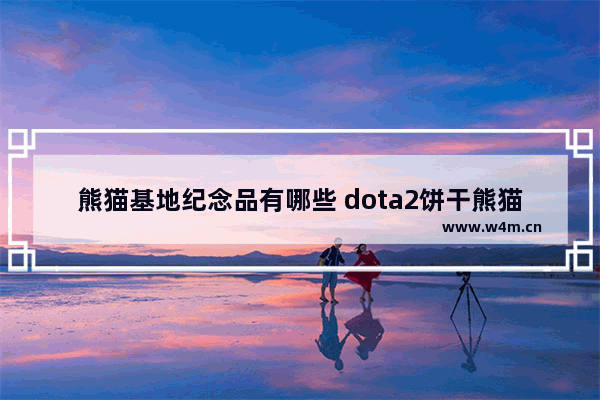 熊猫基地纪念品有哪些 dota2饼干熊猫