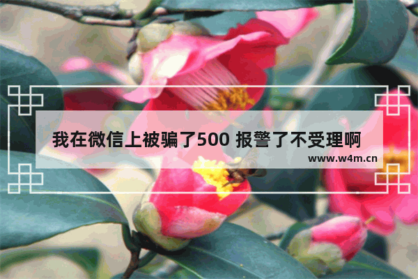 我在微信上被骗了500 报警了不受理啊 那骗子肯定不止骗我一个人啊 有没有啥办法呢 你好 我被骗了备用金500 怎么回事呢