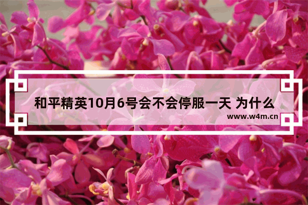 和平精英10月6号会不会停服一天 为什么和平精英停服了一天