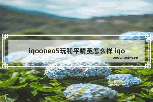 iqooneo5玩和平精英怎么样 iqoo5和平精英游戏表现