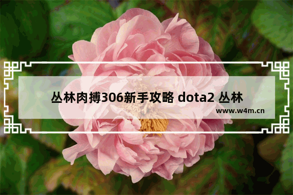 丛林肉搏306新手攻略 dota2 丛林肉搏 攻略