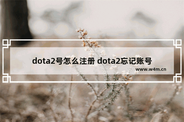 dota2号怎么注册 dota2忘记账号怎么办dota2账号找回流程