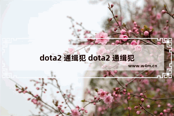 dota2 通缉犯 dota2 通缉犯