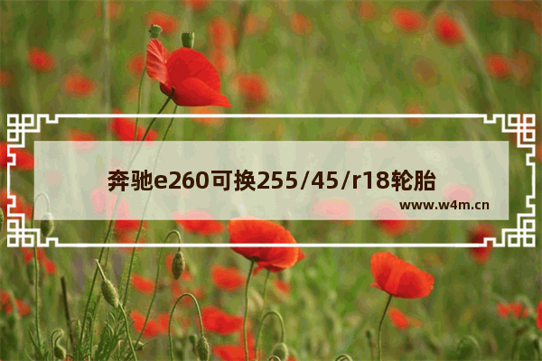 奔驰e260可换255/45/r18轮胎吗 光遇255事件