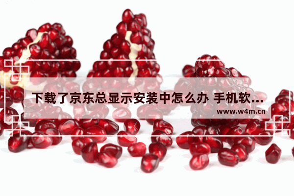 下载了京东总显示安装中怎么办 手机软件下载后一直显示正在安装中 一天过去了也没安装成功 怎么办