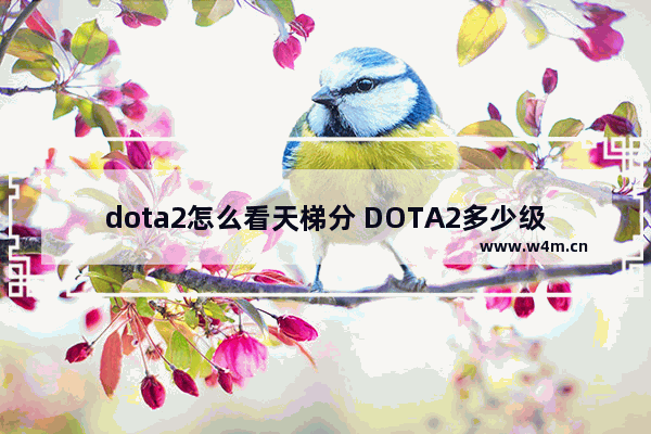 dota2怎么看天梯分 DOTA2多少级才能打天梯