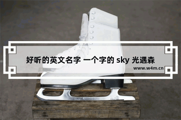 好听的英文名字 一个字的 sky 光遇森