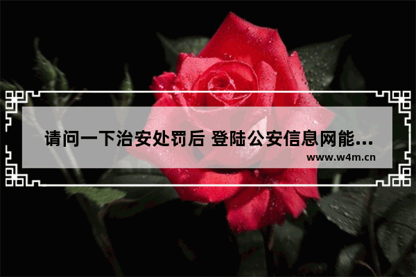 请问一下治安处罚后 登陆公安信息网能有显示吗 银行系统可以查到网逃犯吗