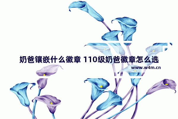 奶爸镶嵌什么徽章 110级奶爸徽章怎么选