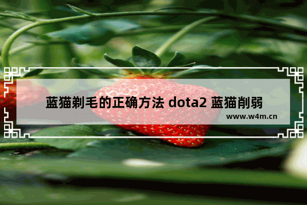 蓝猫剃毛的正确方法 dota2 蓝猫削弱