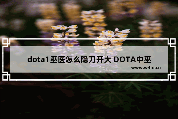 dota1巫医怎么隐刀开大 DOTA中巫医怎么出装 怎么加点 详细点