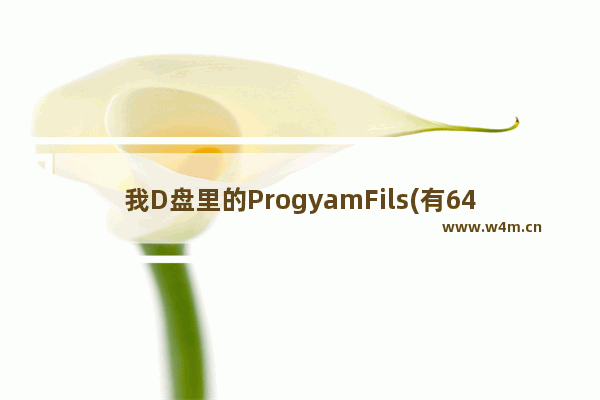 我D盘里的ProgyamFils(有642MB)是什么文件 可以删掉吗 穿越火线文件删除