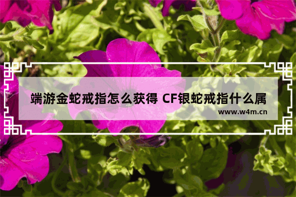 端游金蛇戒指怎么获得 CF银蛇戒指什么属性好穿越火线银蛇戒有什么用