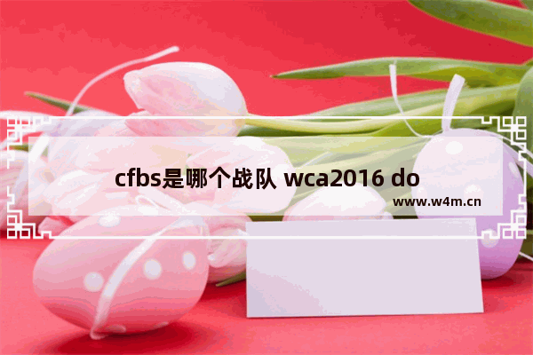 cfbs是哪个战队 wca2016 dota2