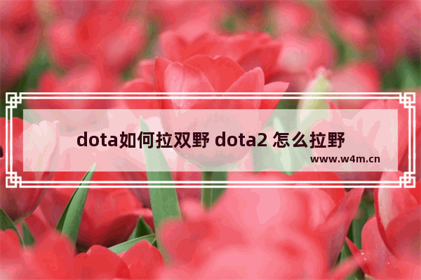 dota如何拉双野 dota2 怎么拉野