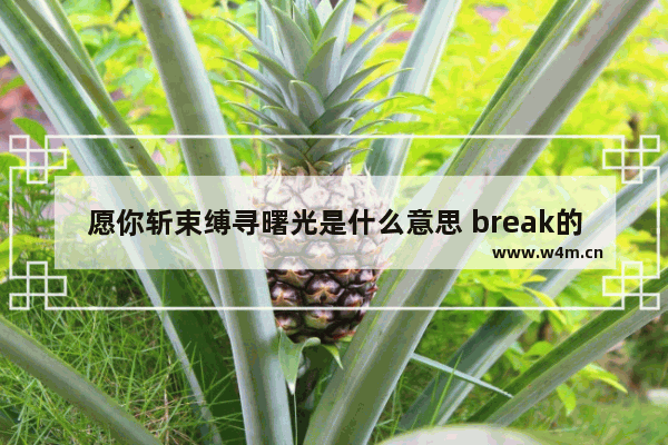 愿你斩束缚寻曙光是什么意思 break的固定搭配有哪些