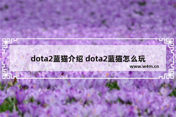 dota2蓝猫介绍 dota2蓝猫怎么玩