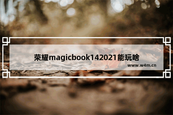 荣耀magicbook142021能玩啥游戏 5k dota2